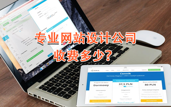 專業網站設計公司收費多少? 專業網站設計公司收費多少?